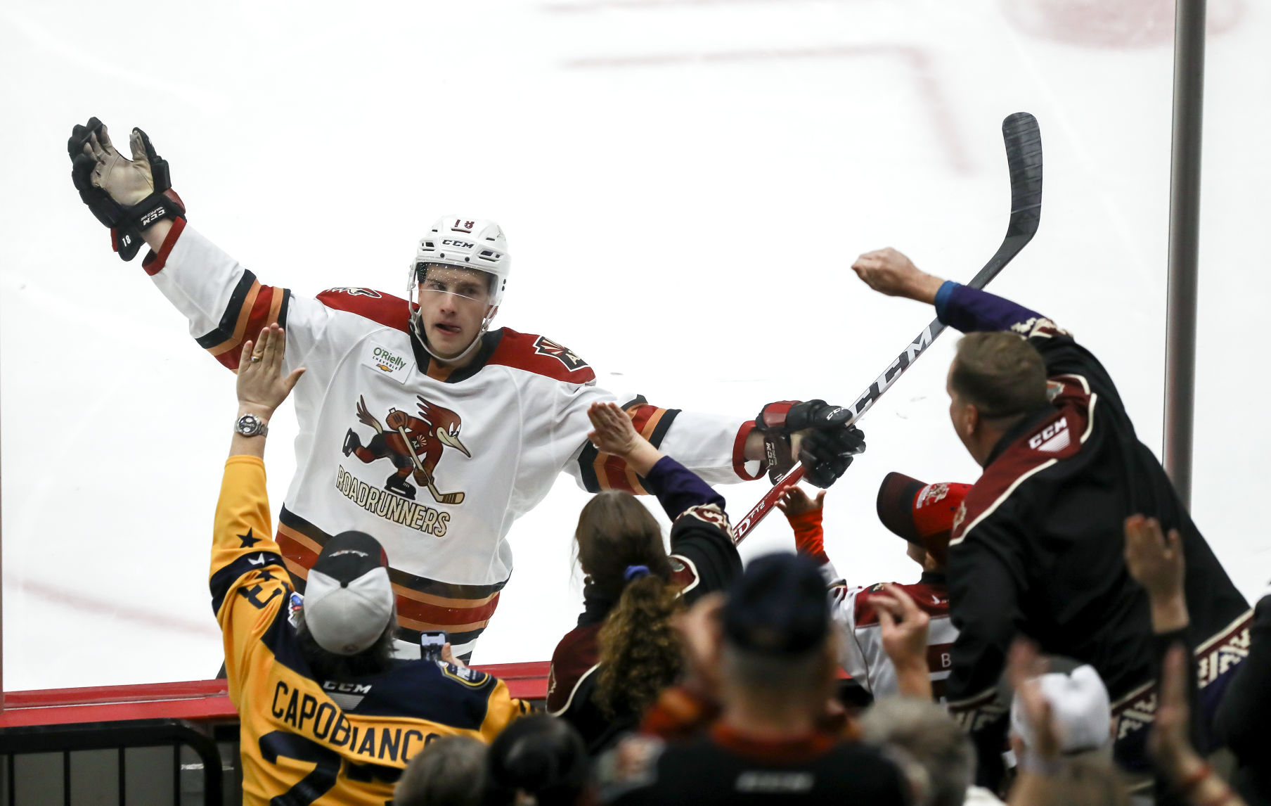 Tucson Roadrunners vs Iowa Wild
